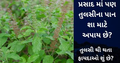tulasi na fayada gujarati