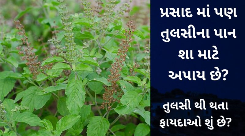 tulasi na fayada gujarati