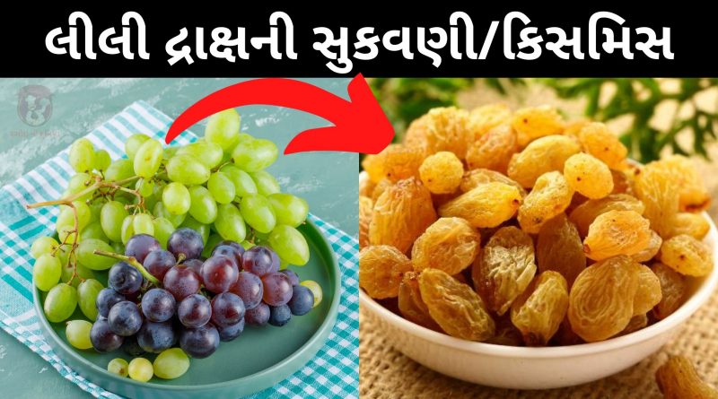 Suki Dhraksh Banavani Recipe