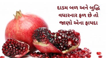 dadam na faida gujarati