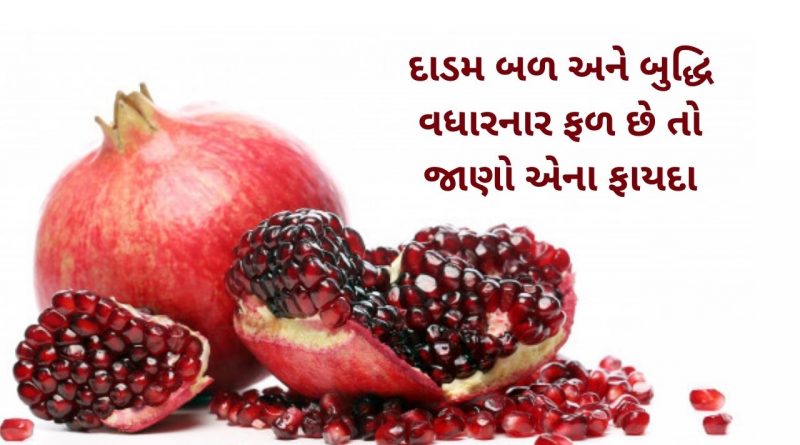 dadam na faida gujarati