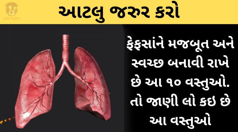 ફેફસાંને મજબૂત અને સ્વચ્છ બનાવી રાખવા આ 10 વસ્તુઓ વધુ ખાવી
