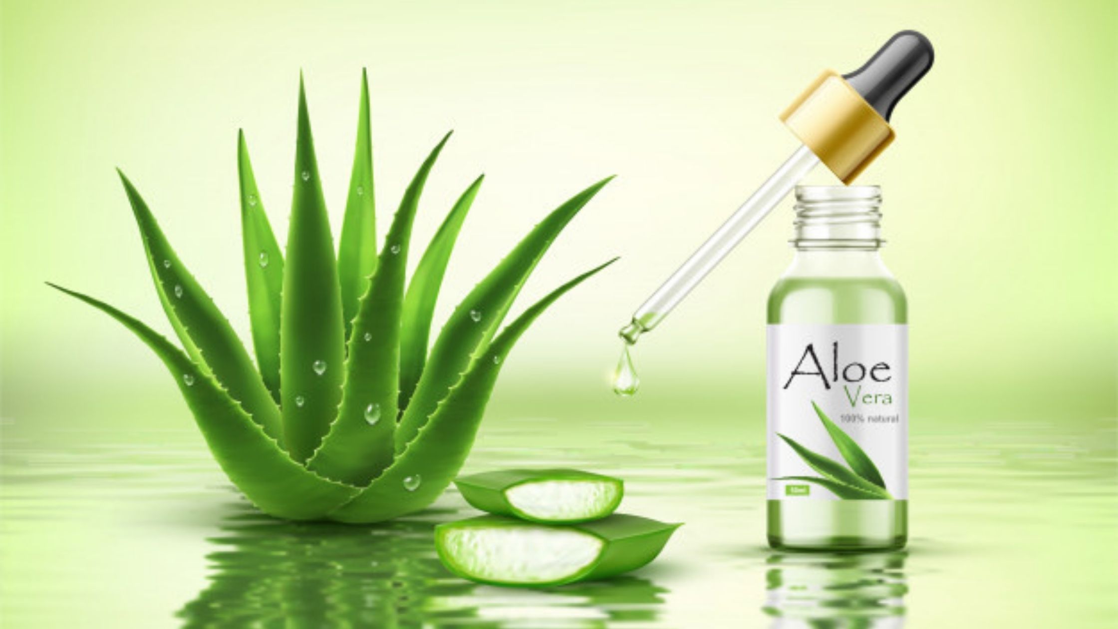 aloe vera na fayda in gujarati