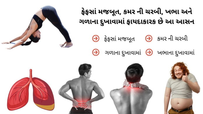 parvatasana benefits in gujarati