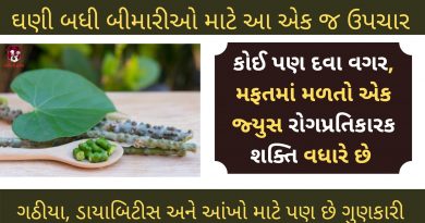 giloy na fayda gujarati