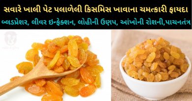 Palarei Kismis Khavana Fayda