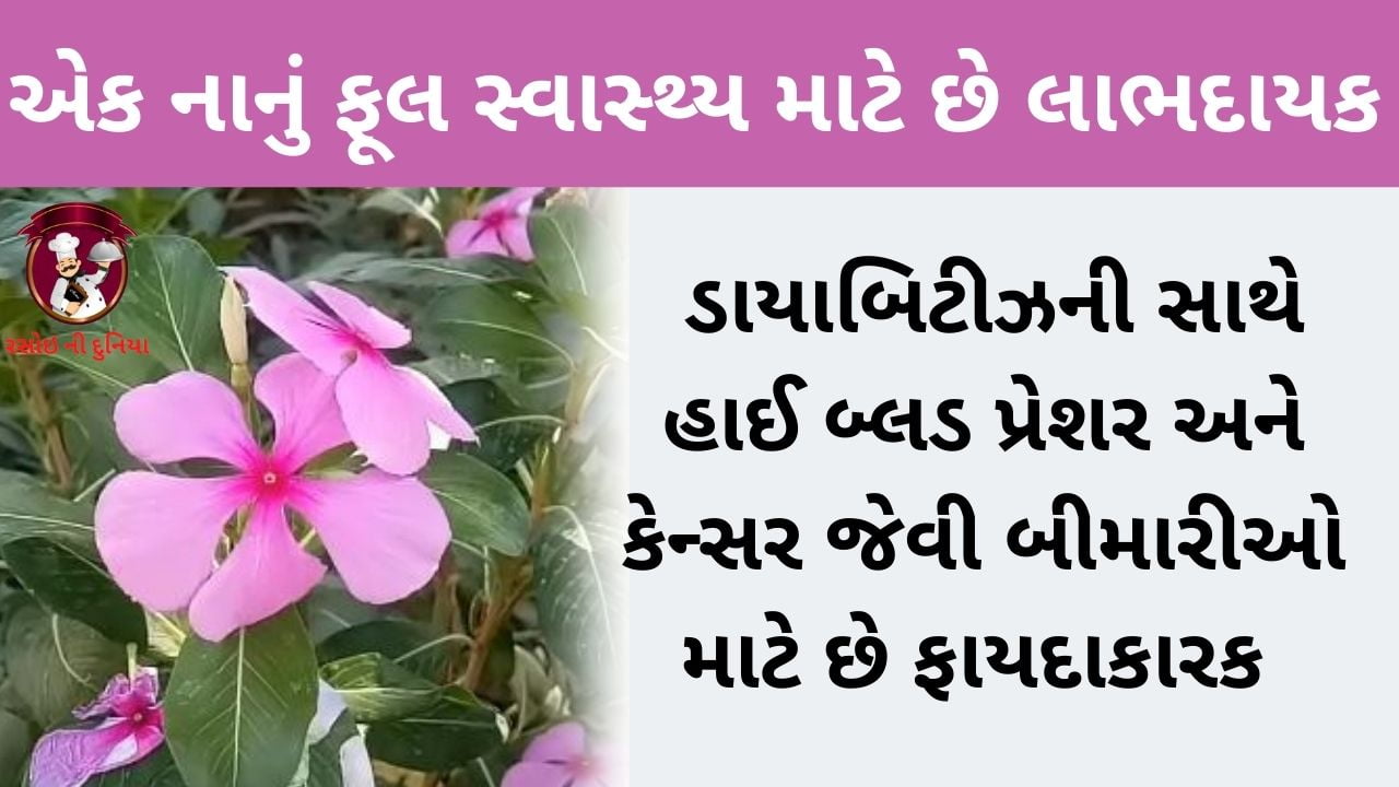 બારમાસી ના ફાયદા