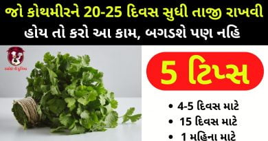 kothmir store karvani rit