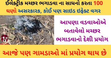 machhar bhagadvano gharelu upay