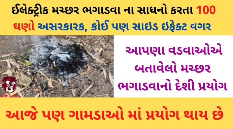 machhar bhagadvano gharelu upay