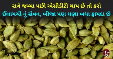 elaichi na fayda in gujarati