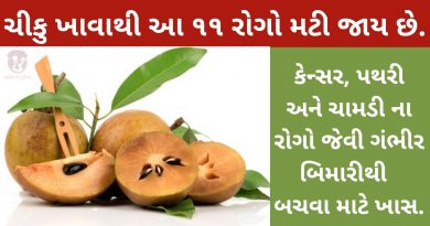 chiku khavana fayda in gujarati
