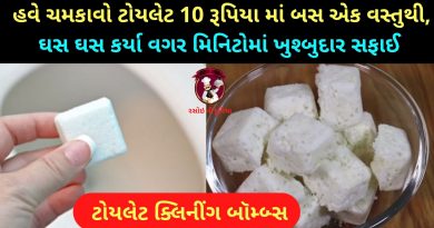 homemade toilet cleaning bombs recipe