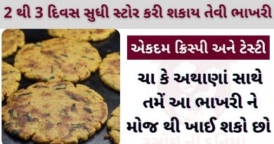 biscuit bhakri banavani rit