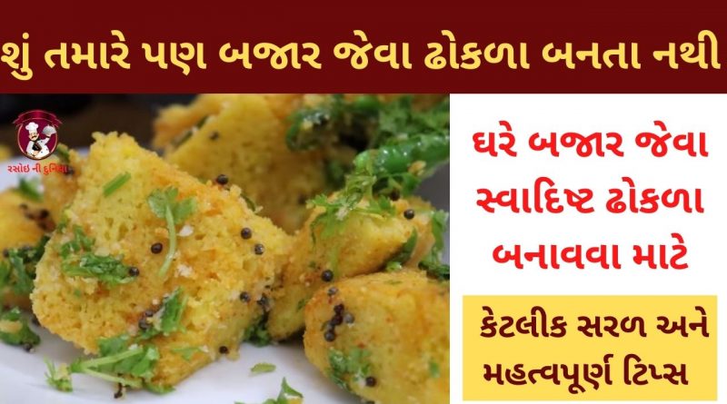 dhokla banavani rit gujarati ma
