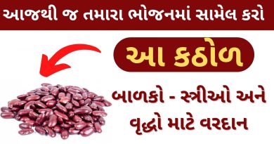 rajma khavana fayada