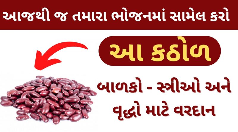 rajma khavana fayada