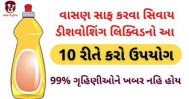 dishwashing liquid na upyog