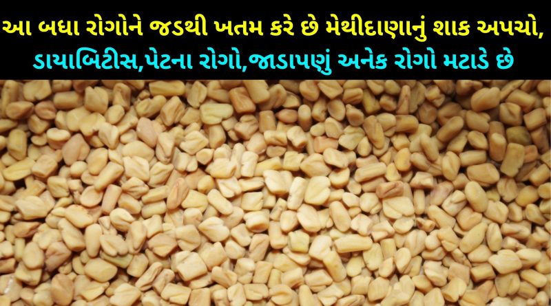 methi dana benefits in gujarati