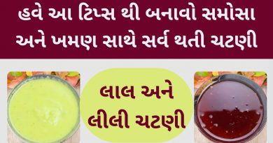 samosa chatni banavani rit