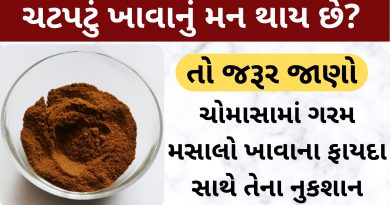 garam masala khavana fayda ane nuksan gujarati