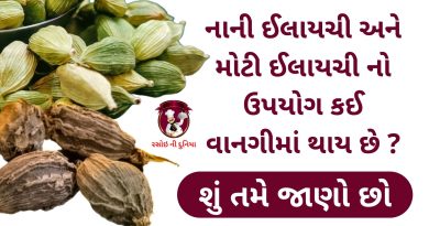 ilaichi upayog in kitchen gujarati