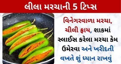 marcha tips in gujarati