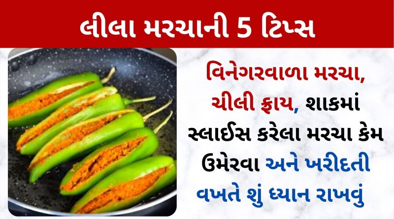marcha tips in gujarati