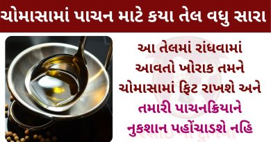 chomasama khavama avta tel information in gujarati