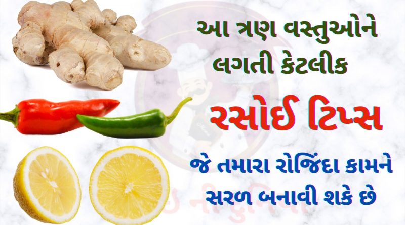 aadu marcha limbu tips in gujarati
