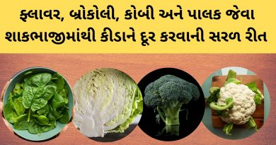 shakbhaji kida kadhvani tips