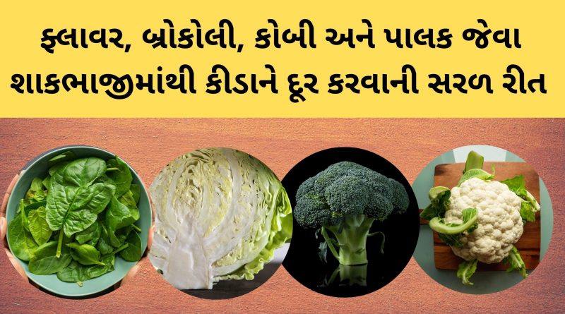 shakbhaji kida kadhvani tips