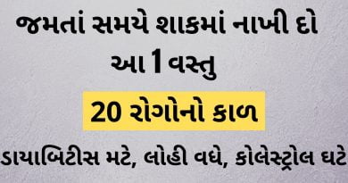 kothmir in gujarati
