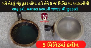 pressure cooker ne saf karvani rit