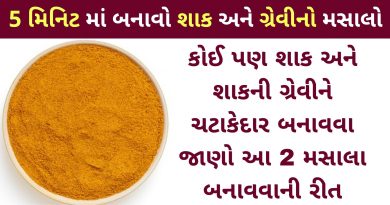 shak no masalo banavavani rit