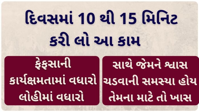 pranayam karvani rit gujarati