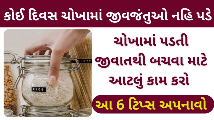 rice store karvani rit