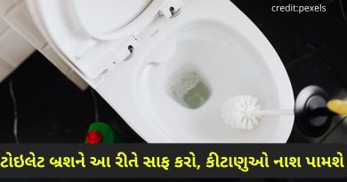 toilet brush saaf karavani tips in gujarati