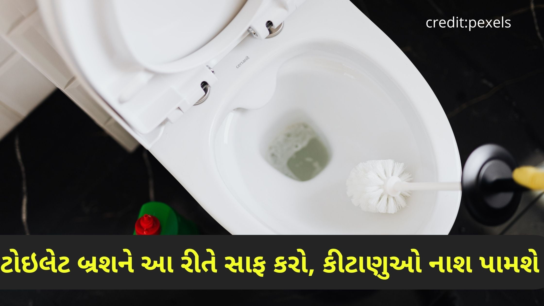 toilet brush saaf karavani tips in gujarati