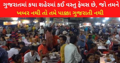 famous food in gujarat
