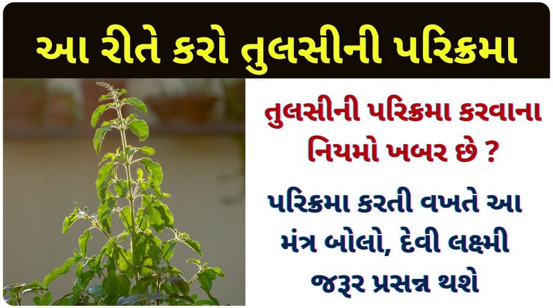 tulsi ki parikrama kevi rite karay
