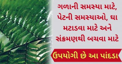 aamali na pan na fayda