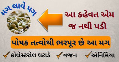 fangavela mag benefits in gujarati