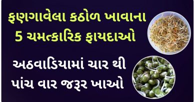 fangavela mag benefits in gujarati