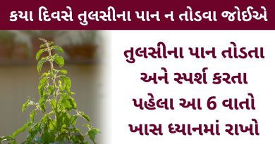 tulsi uses in gujarati