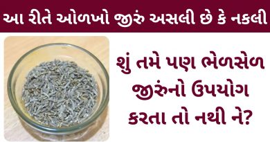 jiru asali ke nakli tips in gujarati