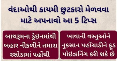 cockroach ne rokvana upay gujarati ma