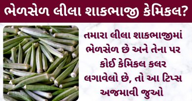 shakbhaji chek karva