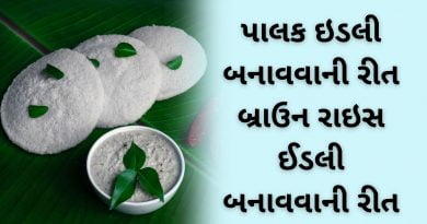 breakfast recipes in gujarati
