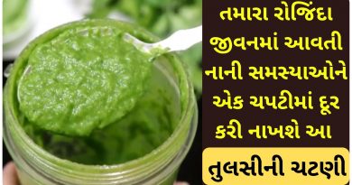 tulsi chatni banavani rit